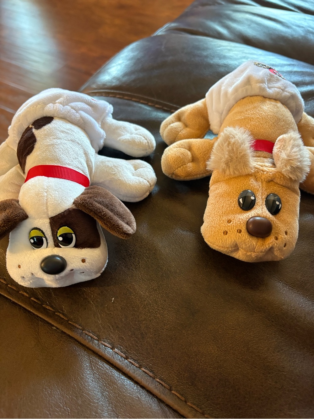 8in newborn pound puppies 2021